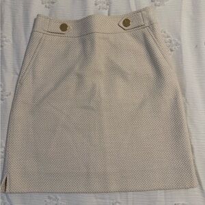 Ann Taylor Skirt
